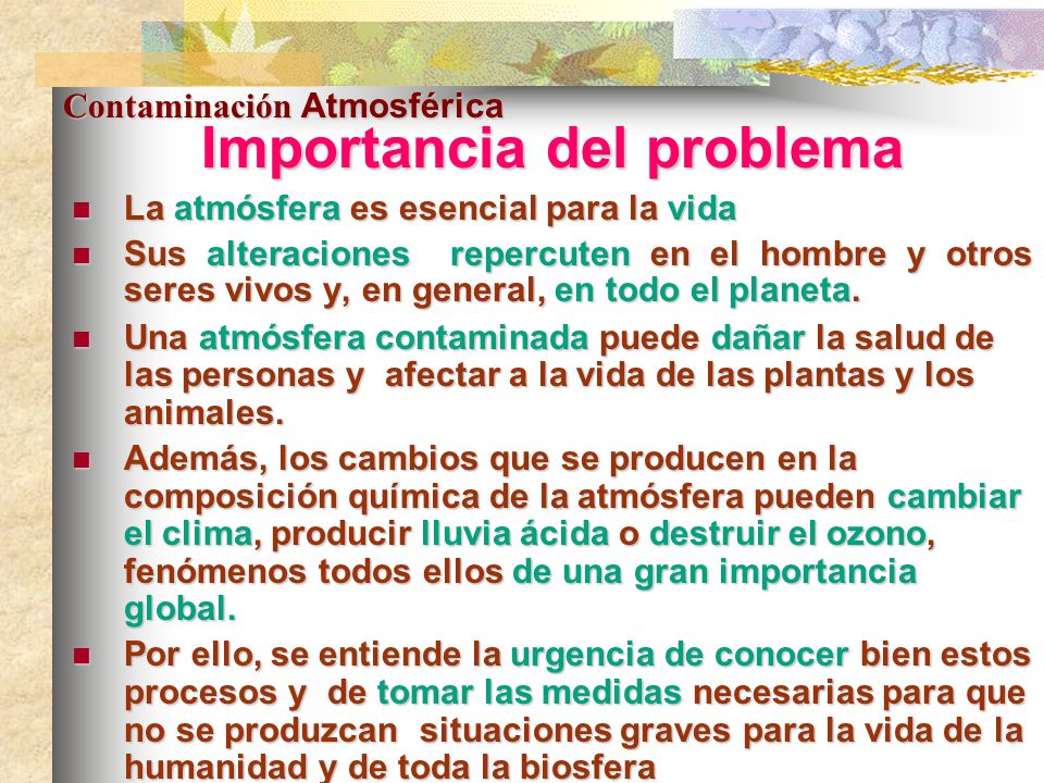 Preguntas para conocer a alguien